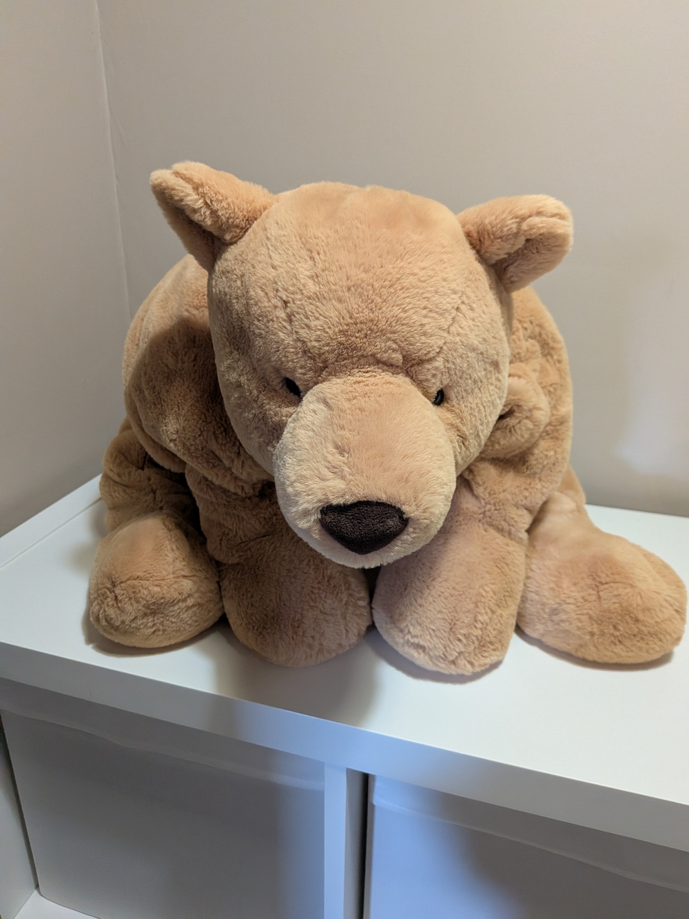 Jellycat Harvey Bear NWT